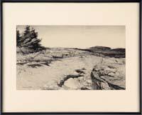 Rocky Coastline by Stow Wengenroth - Auction record, sale price, and art valuation. Compare with similar artists and explore comparable artworks.